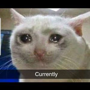 Meet your Posher, Jake